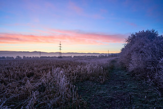 cold morning