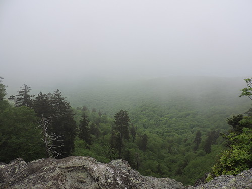Whitetop Mountain, Lover's Leap, VA | by crittercade