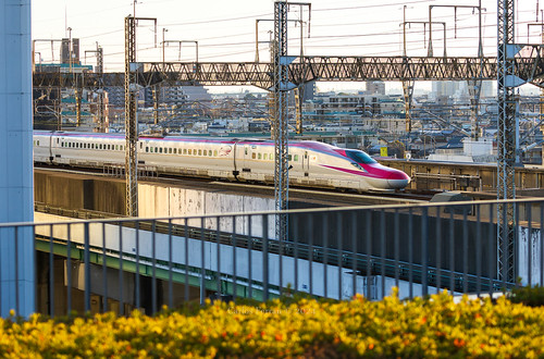 『E6 Over Omiya』 by Carlos Ferran, Racing north into snowy Tohoku, a JR E6 Series "Komachi" service gets up to speed over dow