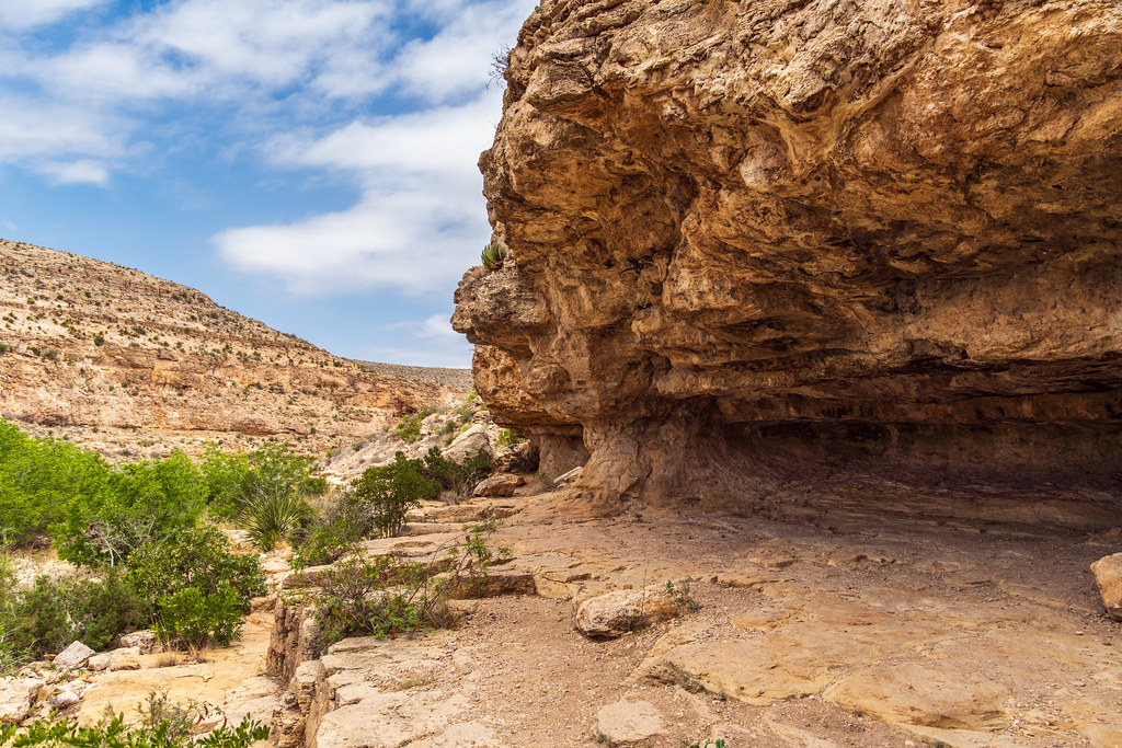 Chihuahuan Desert Nature Trail