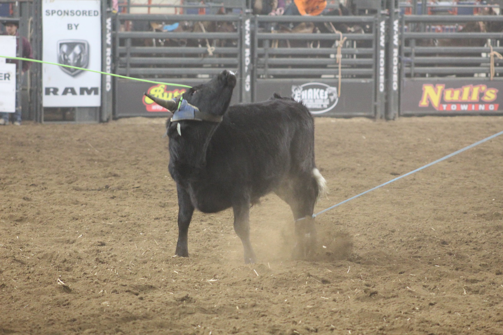 2025 First Frontier Rodeo 01.09.25 | Flickr
