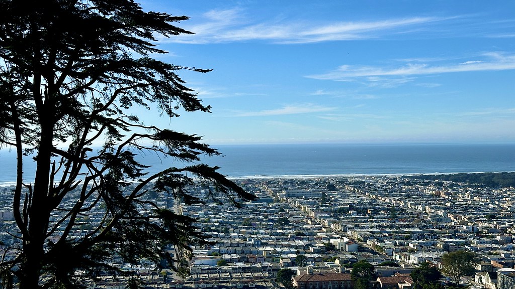 Steep Ravine Trail