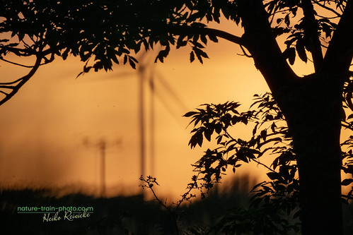 Sunset in Saxony by nature-train-photo.com, Nikon Z8 mit z800mm f6.3deutschland landschaft germany landscape sky naturephotography natur nature 