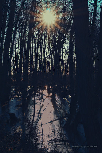 Sunshine | by chheartzig