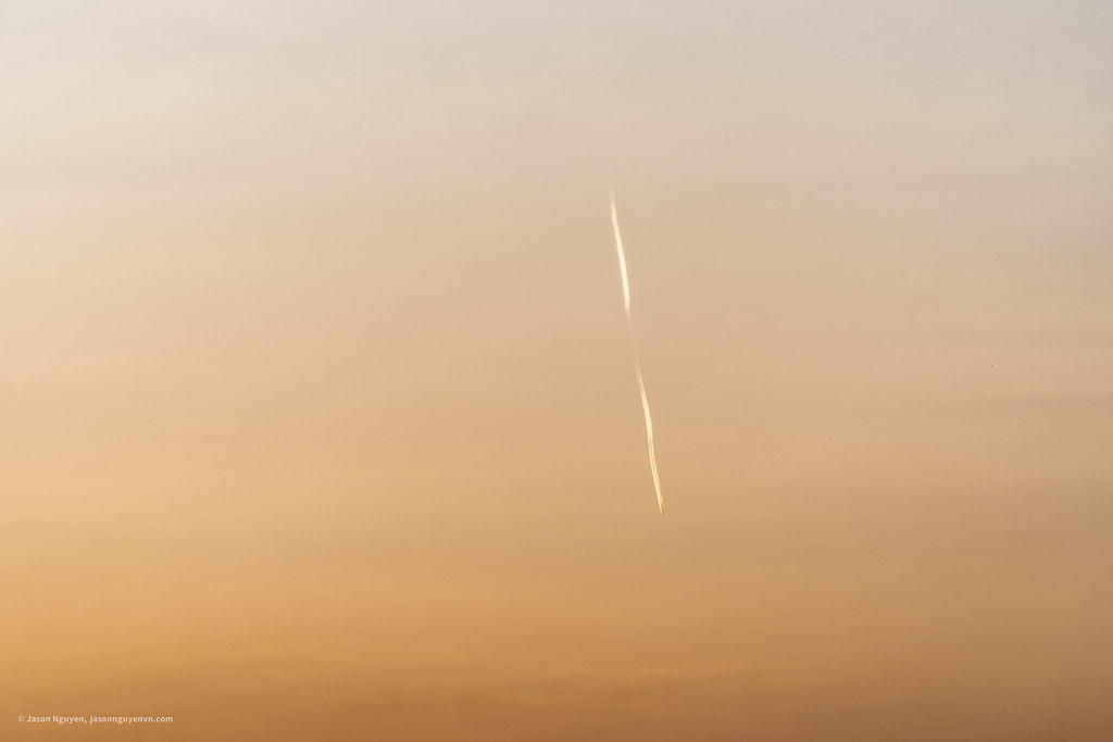20250119-JSN01466