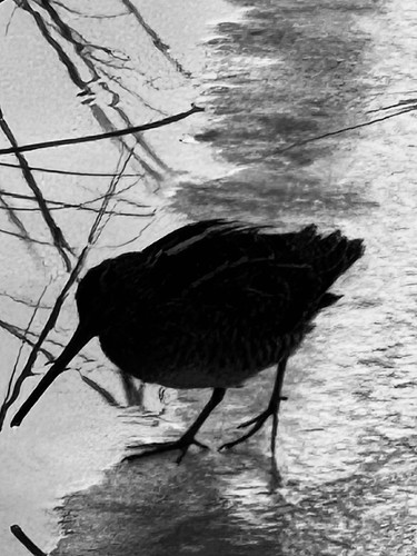 Void of snipe | by tvamaste