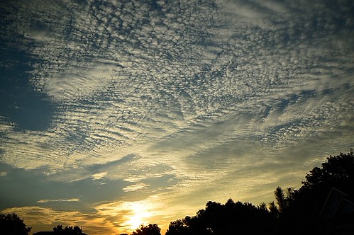 DSC_0394 by berrywine, Out my front door one morning.sunrise