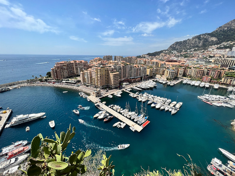View over the Port de Fontvieille