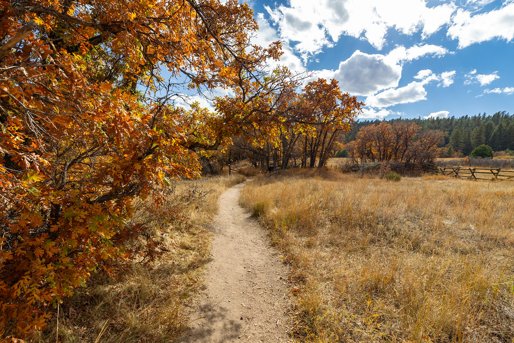 Casual Tuesday | Franktown, CO - Jest west of Castlerock, Co… | Flickr