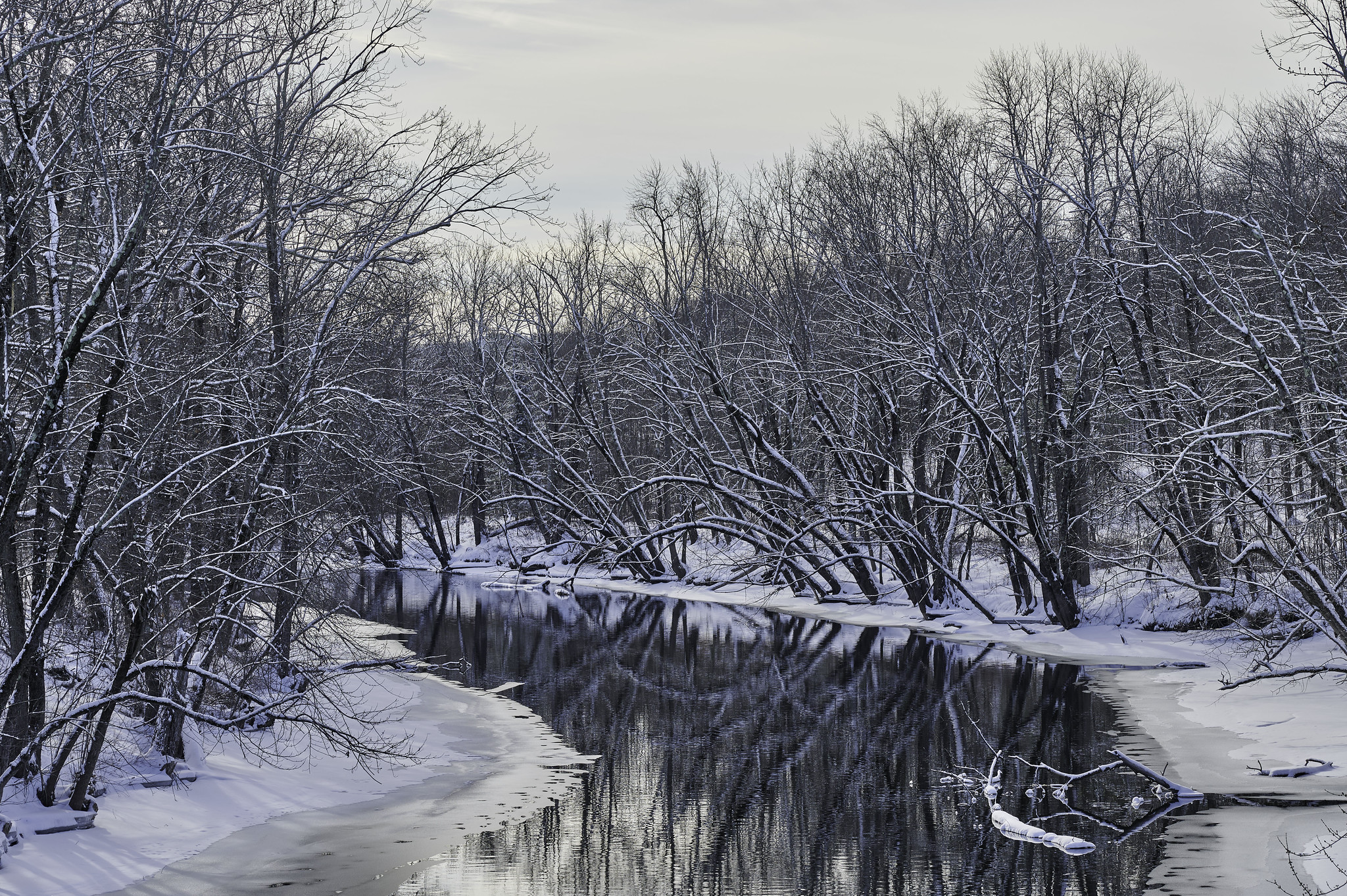 This week with your Z camera, Feb 8-14 2025** | DPReview Forums
