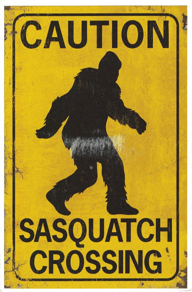 [USA] Sasquatch | Ayumi Tsukada | Flickr
