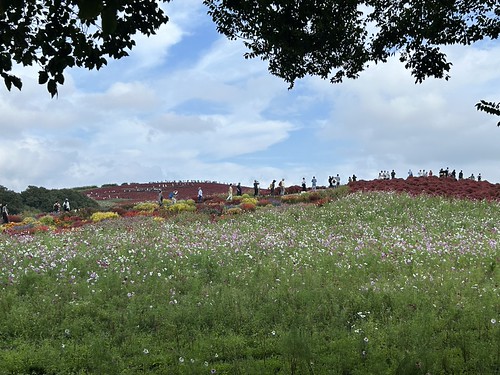 Hitachi Sunrise Park by Kanesue, Hitachi Sunrise Parkhitachisunrisepark