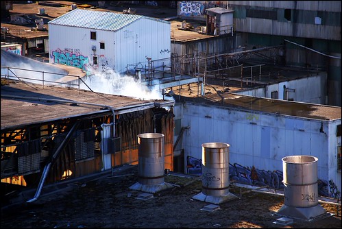 IMG_2317 Blue Heron Paper Mill