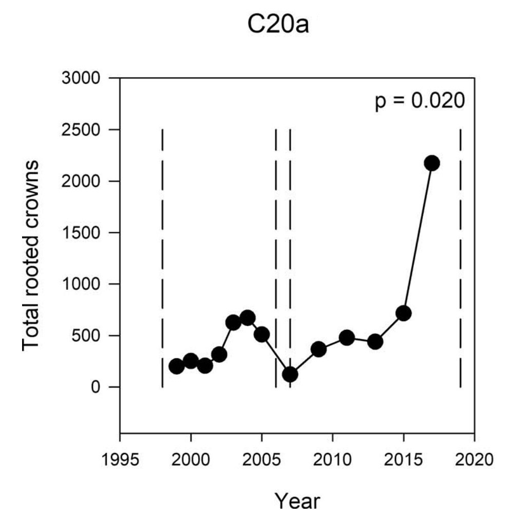 C20A