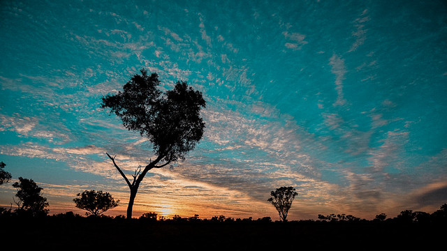 Quilpie Sunrise