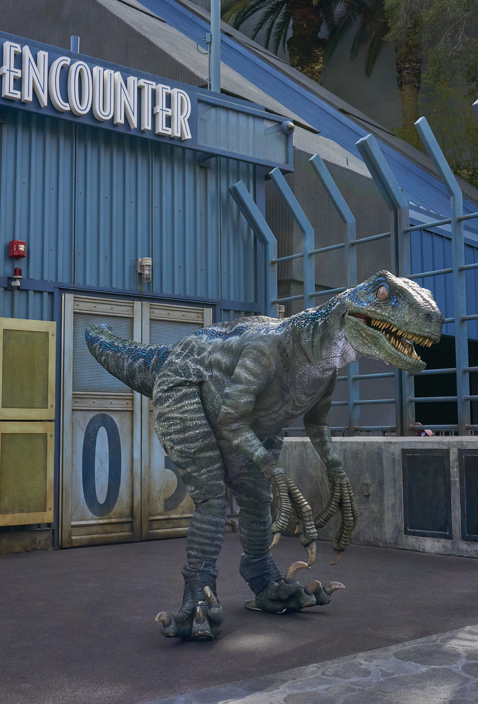 Blue Raptor Universal Universal Studios Hollywood Feb 2025 | Blue at Raptor Encoun… | Flickr