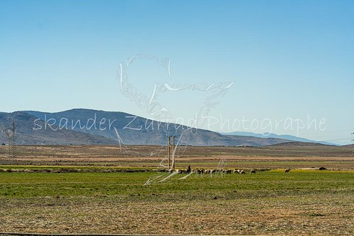 ZSK05498 by skander.zarrad, adventure algeria algerie casbah coastline countryside culture desert dunes heritage highway history