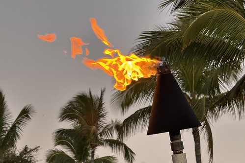 Fired Up by WalrusTexas, in the Land of the Setting Sun. fire palmtrees tikitorch sunset anthropocene pareidolia elements