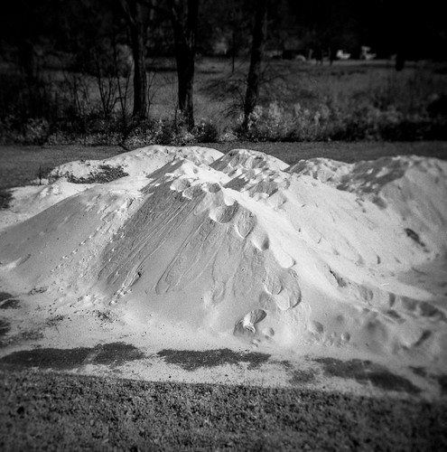 Tracks on the Sand Dune | by Neal3K
