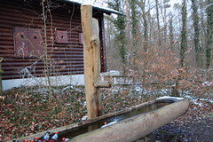 Raclette im Wald
