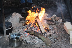 Raclette im Wald