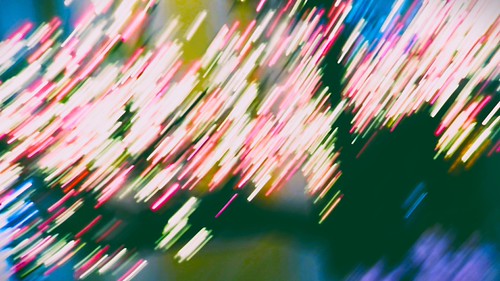 money tree (ICM) | by drew.murray (off/ back in mid-November)