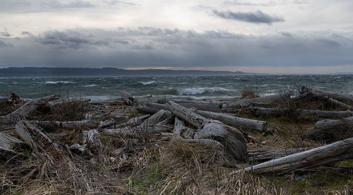 Beach at Marrowstone Point | by sitkaran