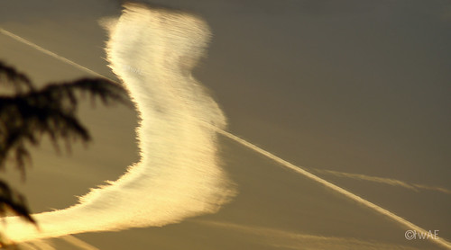 Falkor! The strangest cloud formation I've ever seen. Zoom in for details. | by Ups & Backs