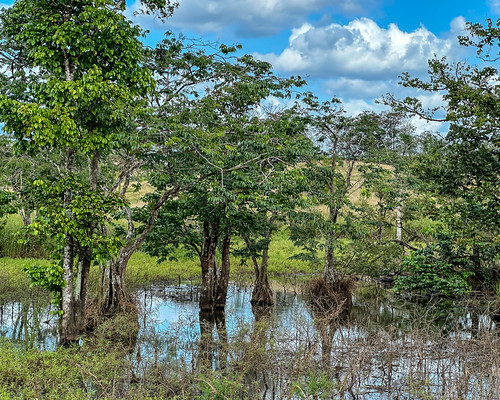 Along the Sunset Coast by Ms. Abitibi, Marshland

Azuero Peninsula, Veraguas Province, Panamamariatodistrict veraguas panama azueropeninsul