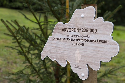 ‘Um Toyota, Uma Árvore’ - 225 mil plantações depois, a Toyota também tem mel