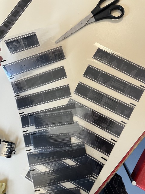 Analoge-Schwarz-Weiß-Fotografie-Werkstatt