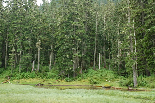 High lake