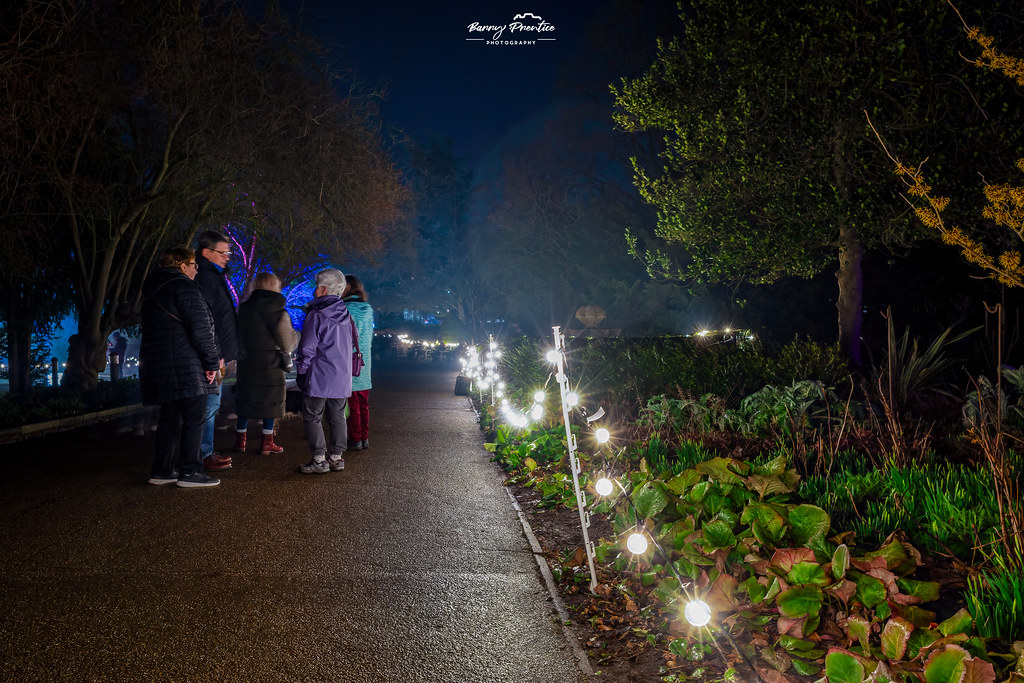Lights of Leamington 20th Feb 25 11 | Barry Prentice | Flickr