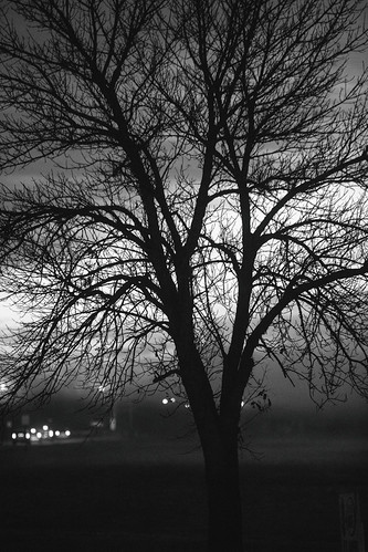Whatever It Was, It's Gone by Thomas Hawk, america southdakota usa unitedstates unitedstatesofamerica auto automobile bw car silhouette sunrise