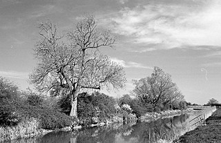 Royal Military Canal