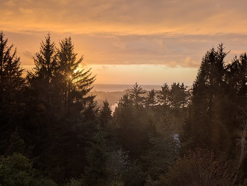 Salishan sunset by bulldog008, salishan gleneden beach oregon sunset trees ocean colorful clouds landscape view pacific northwest