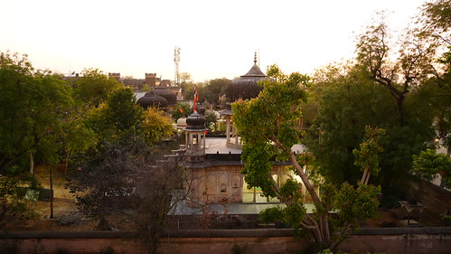 2025-03-30_18-58-54_ILCE-7CM2_DSCHO3086 by Miguel Discart & Kiri Karma (Photos Vrac), Travel to India - March - April 2025 - Day 3 - Mandawa & Haveli 

Aujourd'hui, nous nous rendons