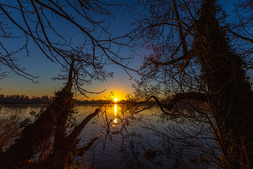 #109 First light at Cole Mere 14/01/2021 by Fin Wright, A super crisp and cold January morning from a few years ago.

ianwright 2021 2022 ellesmere ellesmer