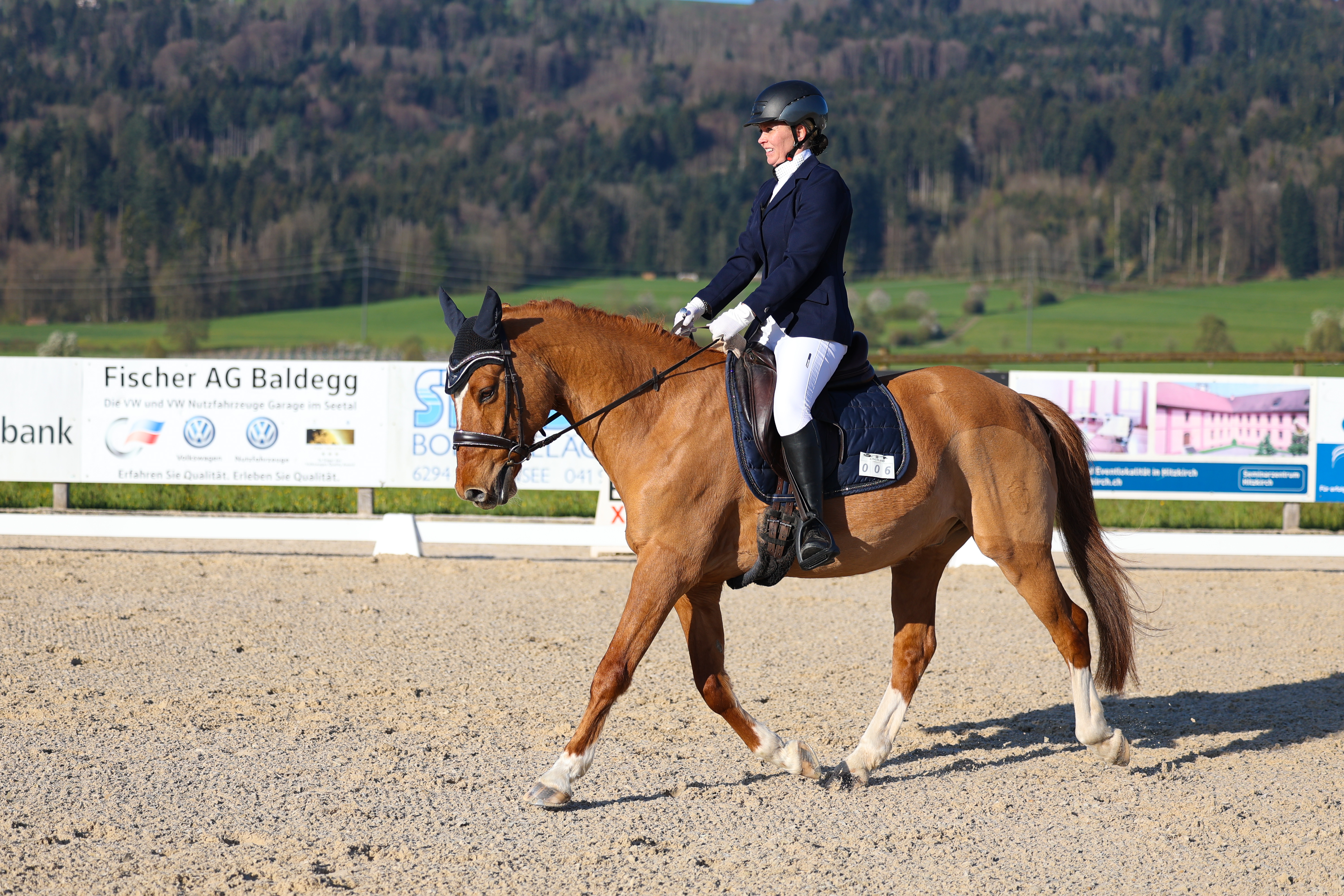 Pferdesporttage Dressur 2025