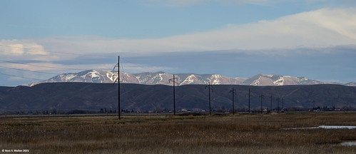 Refuge Power by walkerross42, Our Sharp Shooters Camera Club had a field trip to Bear Lake National Wildlife Refuge, Idaho.  The l