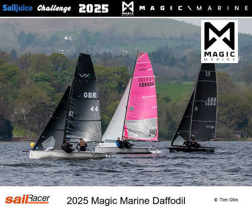 Magic_Marine_Daffodil