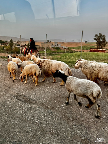 Kurdistan