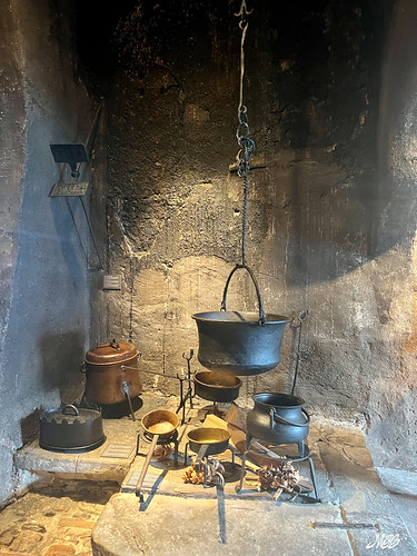 IMG_3548