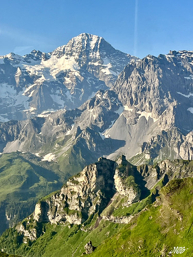 IMG_3409