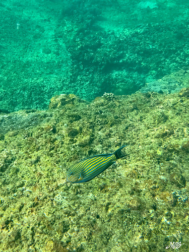 IMG_4869