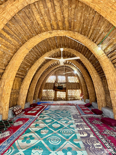 Mesopotamian marshes, Iraq