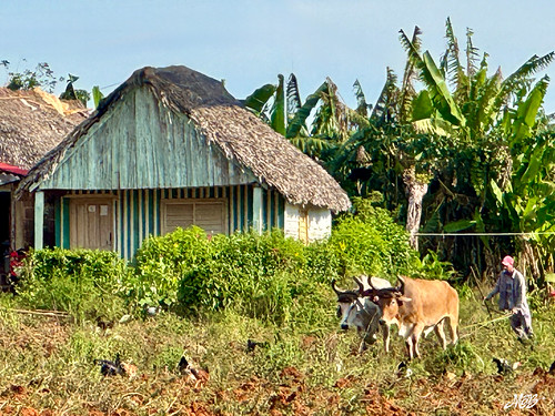 Viñales, Cuba