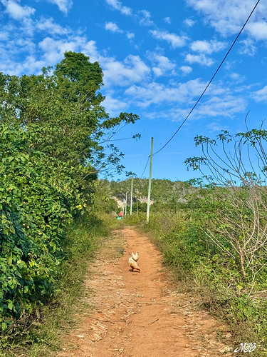 Viñales, Cuba
