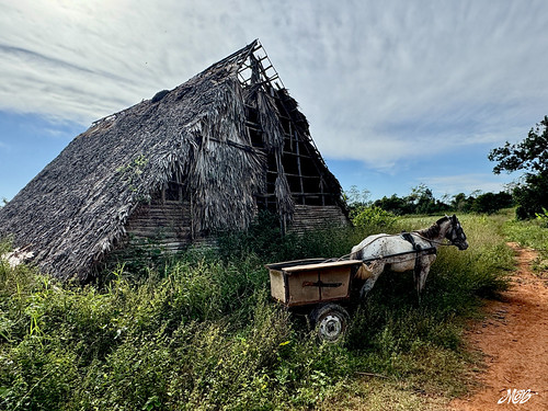 Cigar makers, Viñales, Cuba
