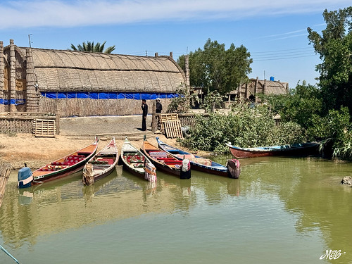 Mesopotamian marshes, Iraq